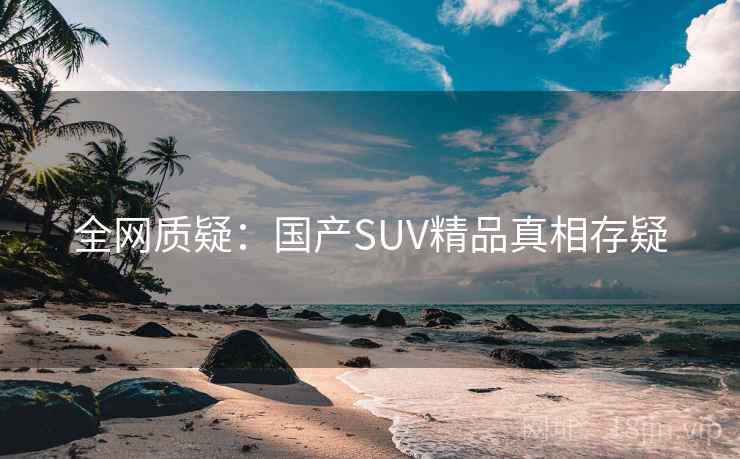 全网质疑：国产SUV精品真相存疑