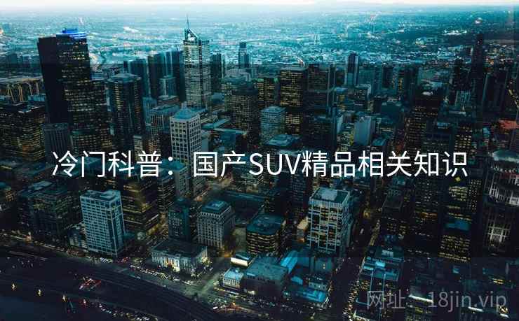 冷门科普：国产SUV精品相关知识