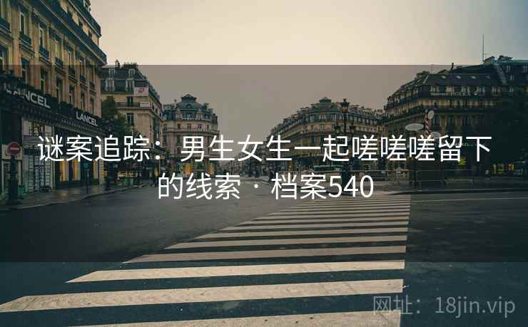 谜案追踪：男生女生一起嗟嗟嗟留下的线索 · 档案540